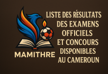 Liste des Résultats des Examens Officiels et Concours Disponibles au Cameroun